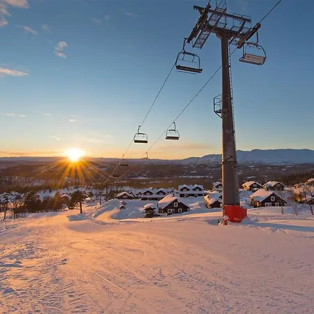 Holiday home Guroli - Mountain Torvetjorn