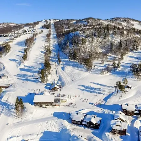 Holiday home Guroli - Mountain Torvetjorn