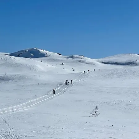 Guroli - Mountain * Torvetjørn
