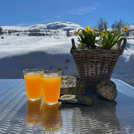 Holiday home Guroli - Mountain Torvetjorn