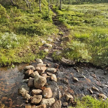 Guroli - Mountain Torvetjørn